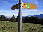 Rheintaler
            Höhenweg; Buchserberg, Blick ins Rheintal und auf den
            Alpstein