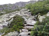 steile Felstreppe im Aufstieg zur Bachseehütte