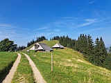 Alp Hochnzi, Aug.2024