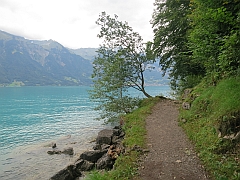 Uferweg von
                  Iseltwald nach Giessbach, 2014