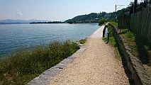 idyllischer Weg am Zürichsee vor Richterswil. Kolumbansweg