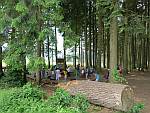 Picknickplatz Bergwald beim Aussichtsturm von Wil;
              2013