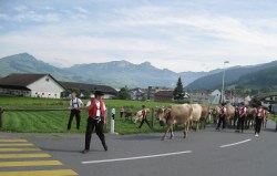 Alpabzug bei Appenzell