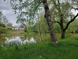 Weiher in Amriswil