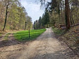 vorne rechts zweigt der direkte, unmarkierte Weg zum Rossberghof ab