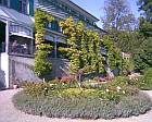 Garten im Hotel
                  Gyrenbad ob Turbenthal