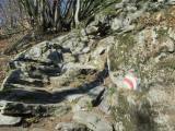 steiler Treppenweg oberhalb Monte Carasso