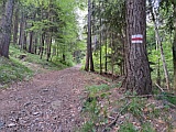 Wanderweg im Frstenwald