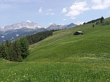 Nähe Stelsersee, Blick zur Schesaplana