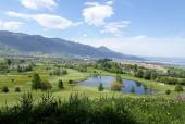 Blick auf
                  Golfplatz, Nuolen und Obersee