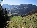 Kuhweide mit Wanderweg oberhalb Obersti Siten