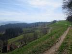 aussichtsreicher Weg oberhalb Fellbach