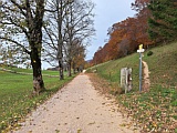 baumgesumtes Kiesstrsschen zum Hinteren Weissenstein, Okt.24