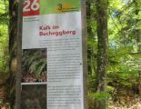 Lehrtafel Waldwanderung Bucheggberg