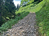 Schotterweg zur Alphütte Ober Nüen