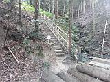Treppe im Wald bei
                  Obermettlen
