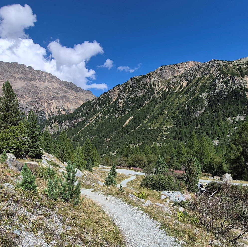 Abstieg ins Val Morteratsch