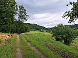 Blick ins Aeugstertal ZH, N&auml;he Riedhof Bergwerk, Juni 2026