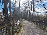 alte Lorze N�he Zugersee, M�rz 2026