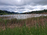 am T�rlersee, Juni 2026