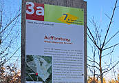 Aufforstung Boningen, Infotafel