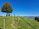 Aussichtsbank bei Rossweid, Sep.25 Aussichtsbank bei Rossweid, Sep.25