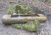 Moos-Brunnen im Nieselberg