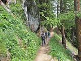 Lärchenwald oberhalb Fafleralp