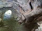 Naturtunnel Fuchsfallen