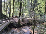 Picknickplatz bei der Einmndung Mlibach