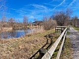 Riedlandschaft an der alten Lorze, Baar, M�rz 2026