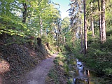 Tobelw�g im Rieschbachtobel