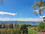 Rosinli , Blick zum Pf�ffikersee