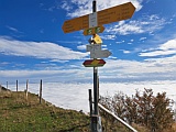 Wegweiser Stallflue, Blick aufs Nebelmeer, Okt.24