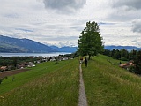 Str�ttligh�gel Gratweg, Blick zum Thunersee