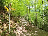 Verzweigung Sagenwald, Ende April 26