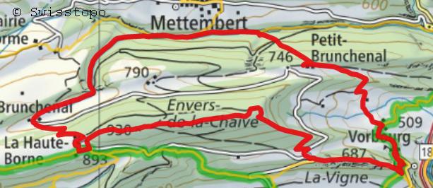 Karte Swisstopo