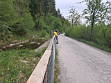 Amphibien-Reservat an der Sihl, April 2026