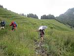 Weide oberhalb Chalet du Blancsex nach einer
              Regenperiode