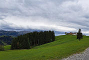 Hhenweg zum Hohen Hirschberg, Okt.24