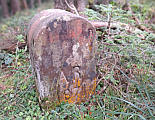 alter Grenzstein auf dem Golterberg, Okt.24