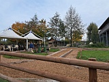 Blick in den Kinderzoo Rapperswil, Okt.25