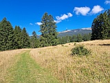 Weiden von La Rochalle, Blick zum Chasseral, Juli 25