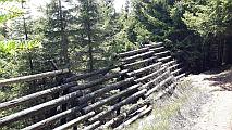 Lawinenverbauung im Schutzwald von Andermatt