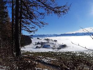 Nebelgrenze bei Ober Albis, Mitte Dezember 2020