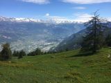 oberhalb Bouzerou Alpage