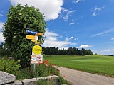 Olisr�ti am Jakobsweg, Juni 26