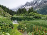 Schwarzsee zwischen Tellialp und Fafleralp, Juli 2021