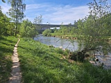 Trampelweg am Sihlufer bei Z�rich Manegg, April 2026