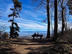 Uetliberg-Wanderung Nov.2025